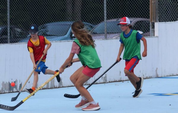 Hockey cosom
