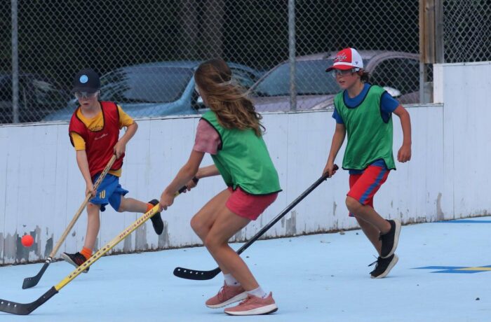 Hockey cosom