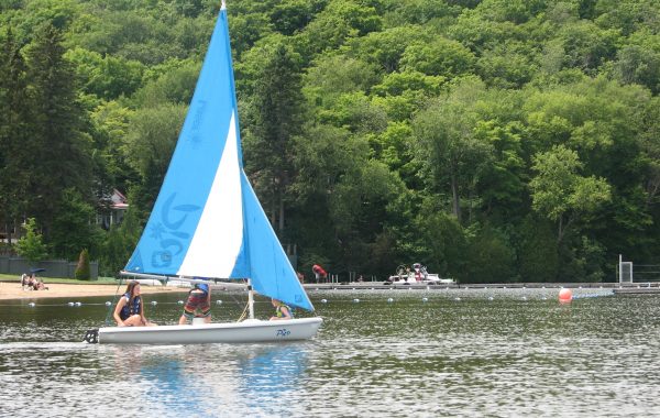 Voile – Pico